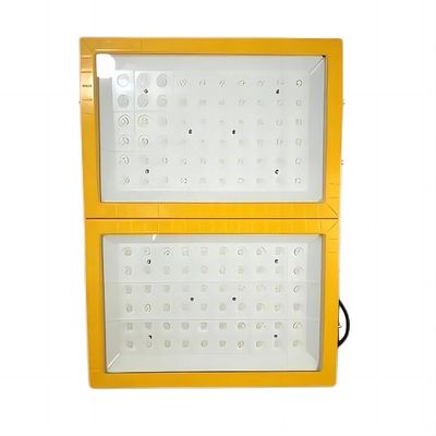 qualité  Aluminum 300W LED professional ex lamp die-casting proof + tempered glass NEYSA ATEx CLEx ccc anti Ignition Explosion Proof Flood Light 5 Years Warranty usine